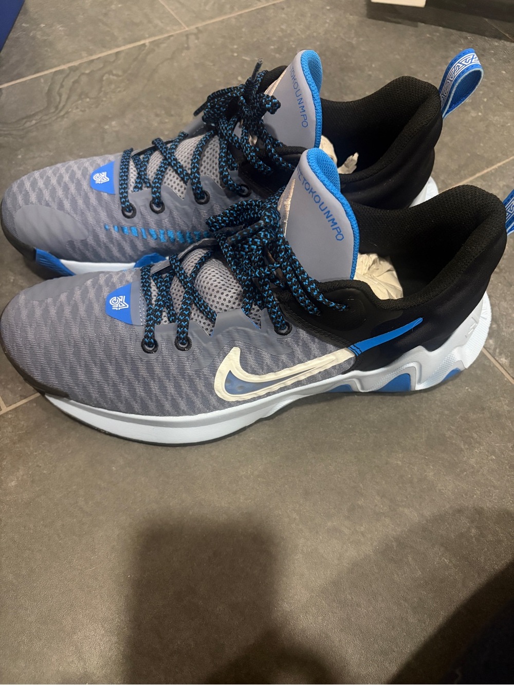 Nike Giannis Immortality 2 Men's Basketball Shoes
